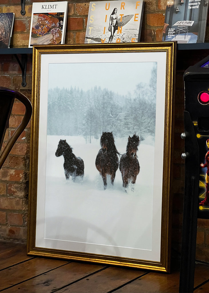Winter horses