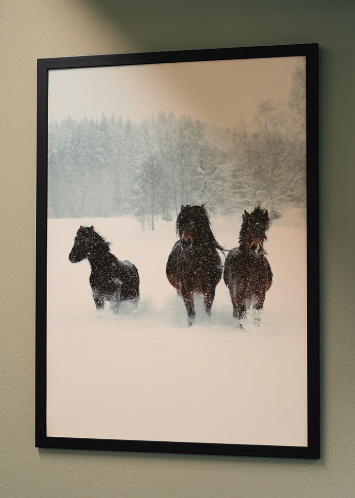 Winter horses