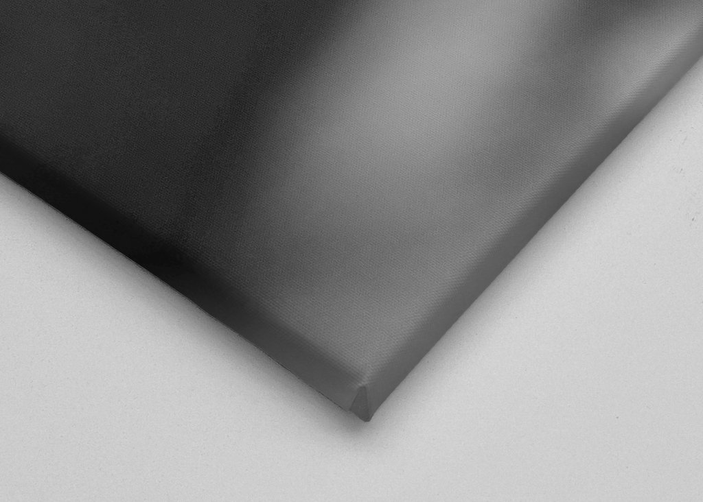 Fenicottero bianco e nero