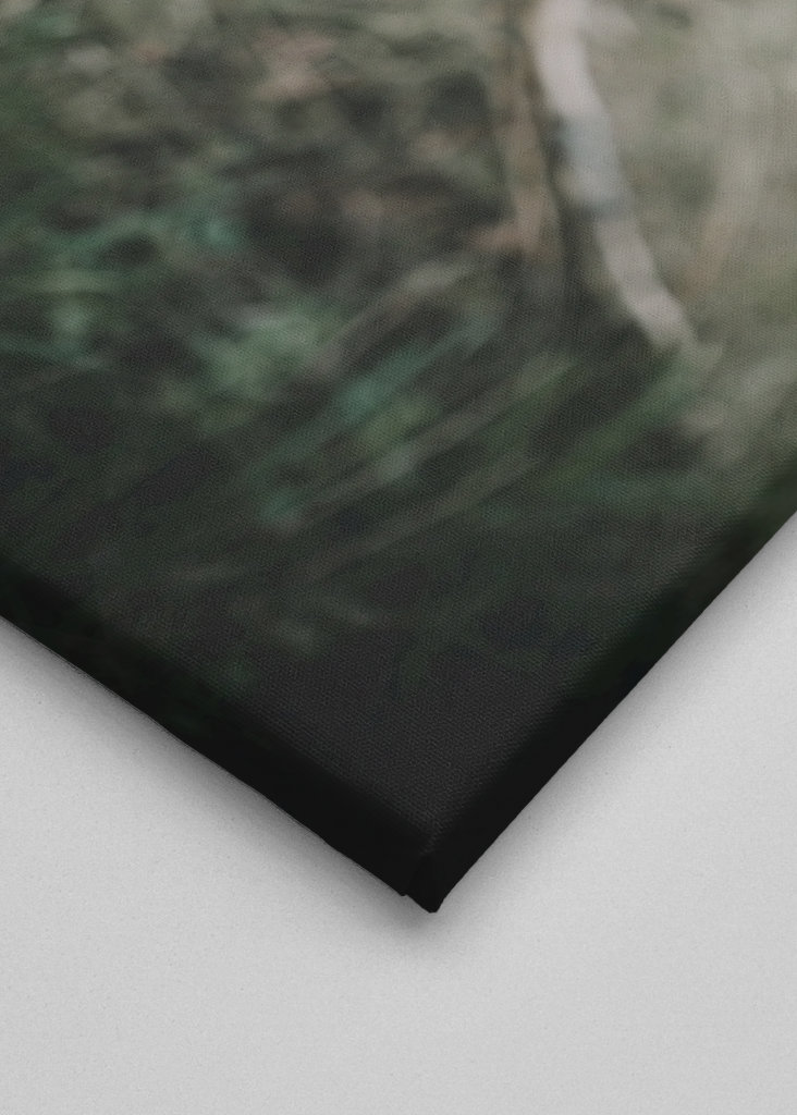 L’ancienne clôture