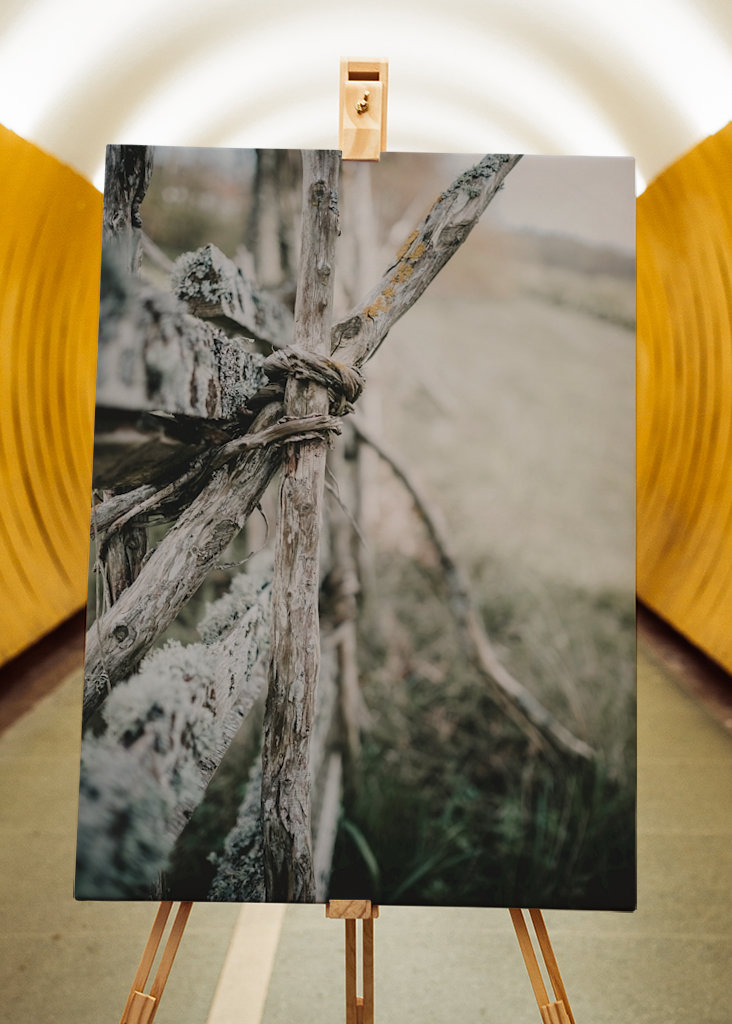 L’ancienne clôture