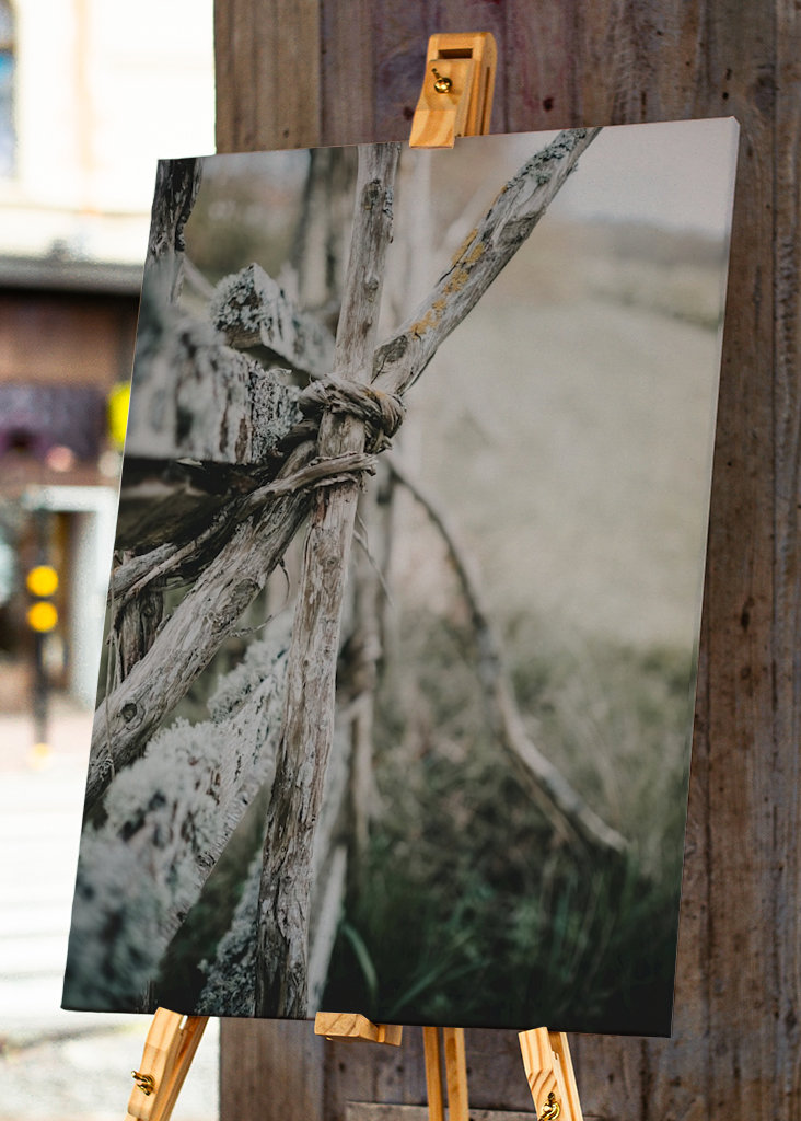 L’ancienne clôture