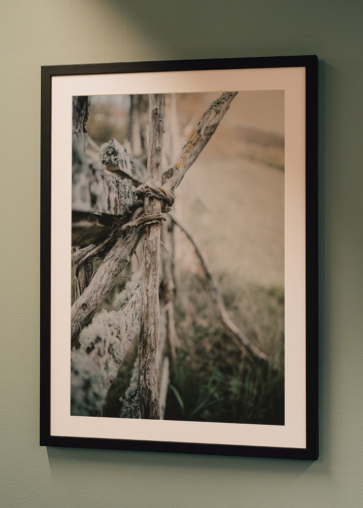 L’ancienne clôture