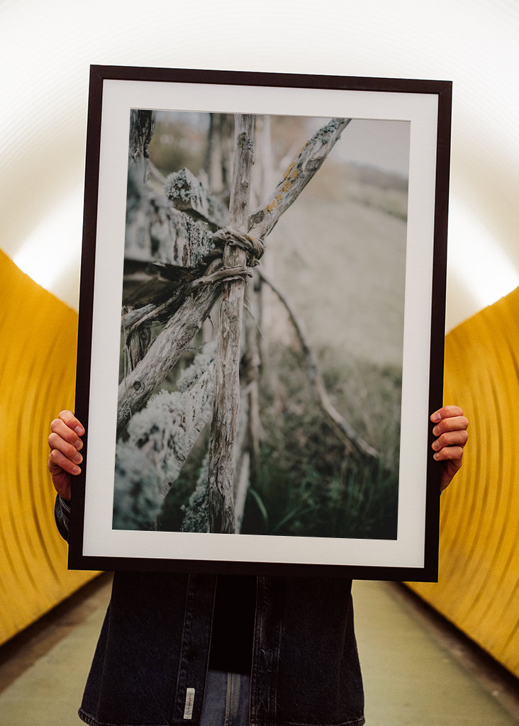 L’ancienne clôture