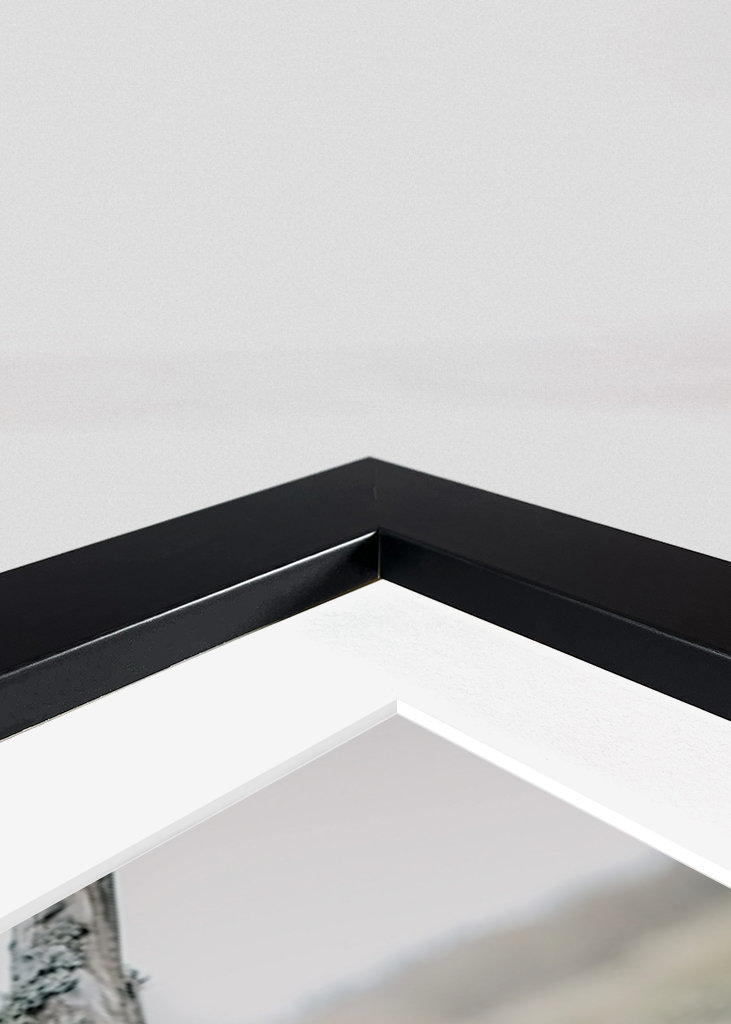 L’ancienne clôture