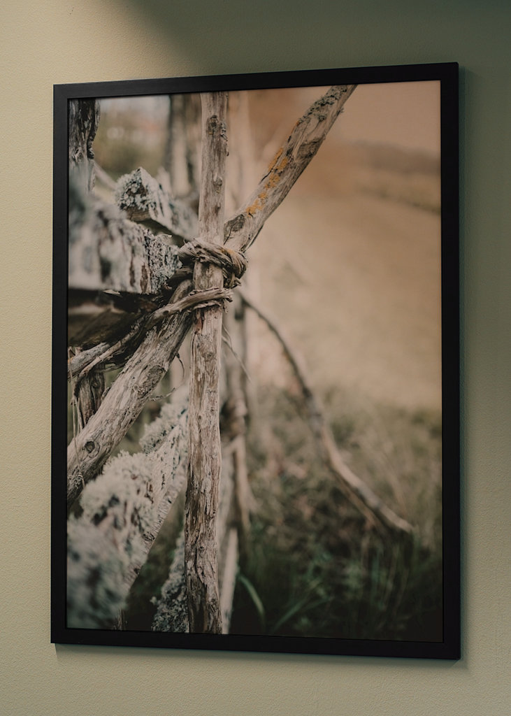 L’ancienne clôture