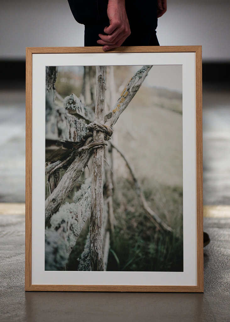 L’ancienne clôture