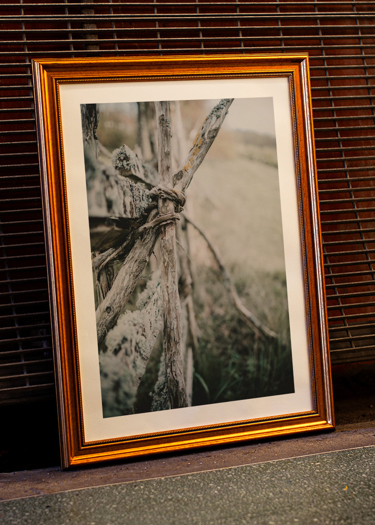 L’ancienne clôture