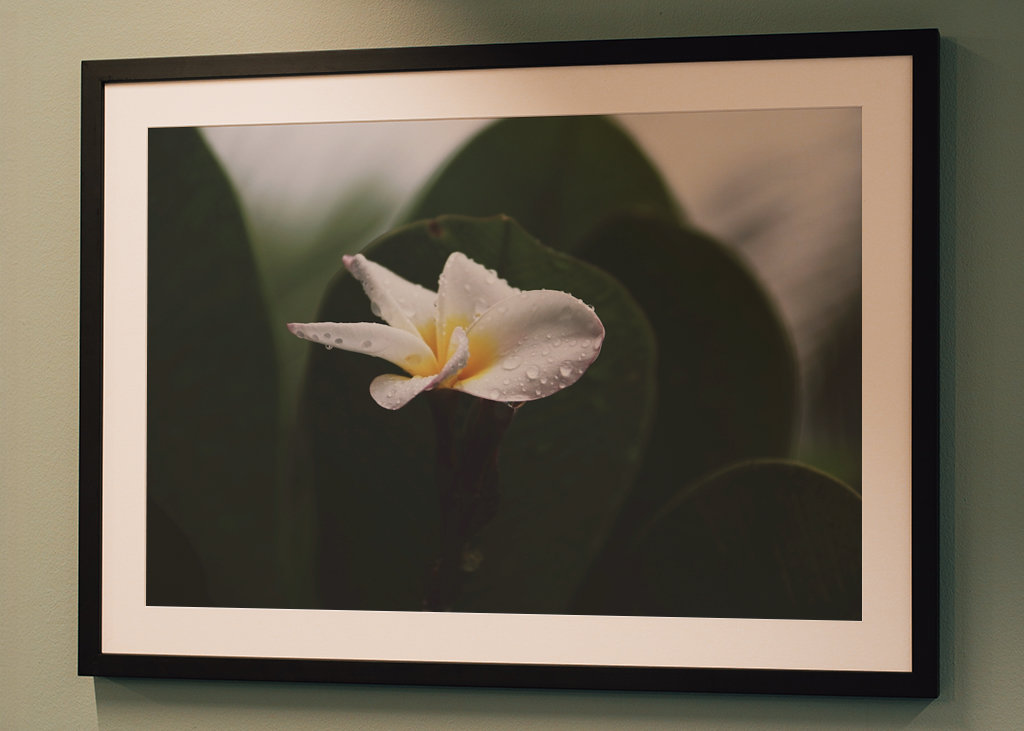 The smell after rain