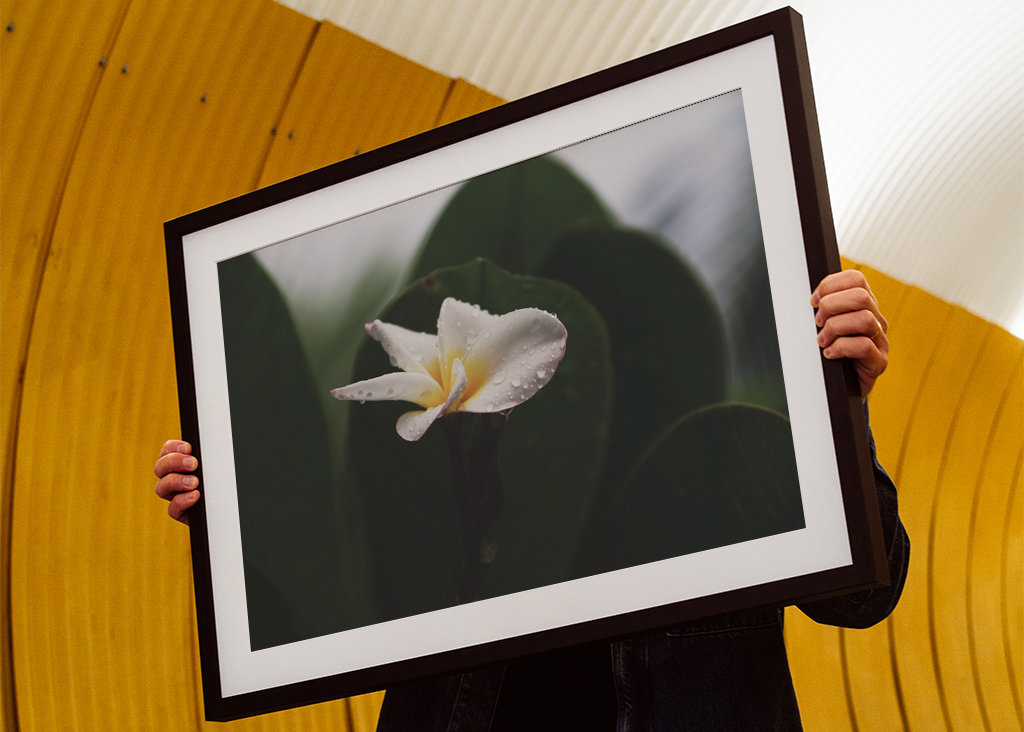 The smell after rain