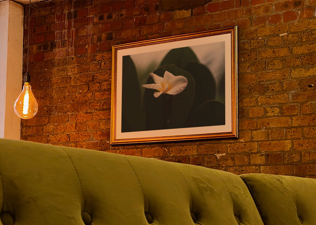 The smell after rain