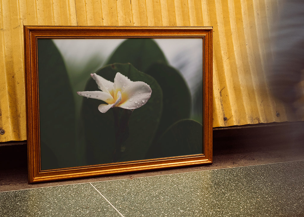 The smell after rain