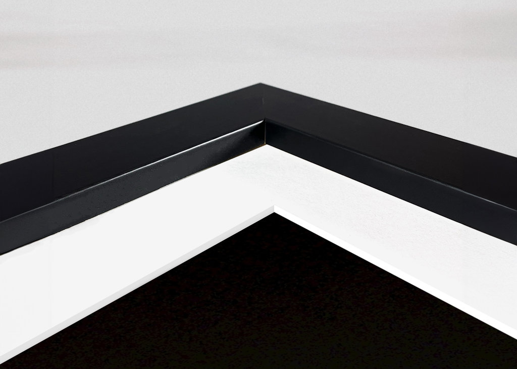 Orange Rose vor schwarzem Hintergrund