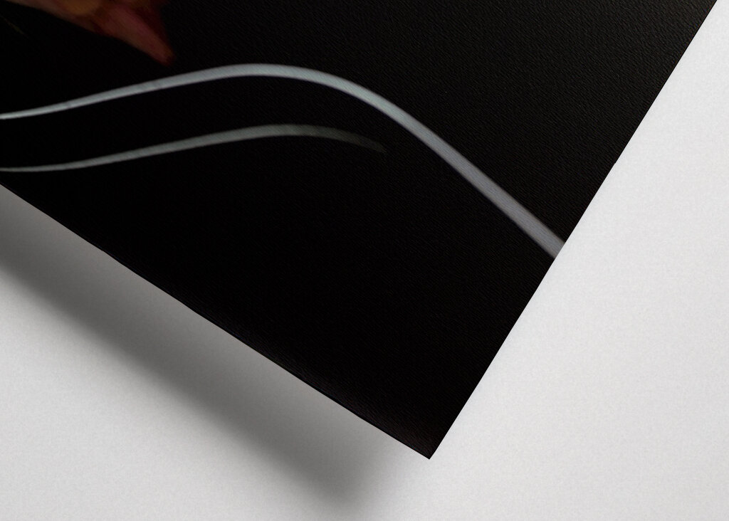 Chitarra nera con rosa arancione