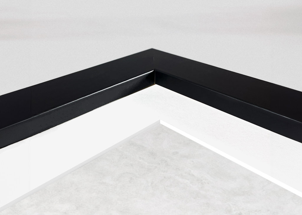 Kariérní žebříček