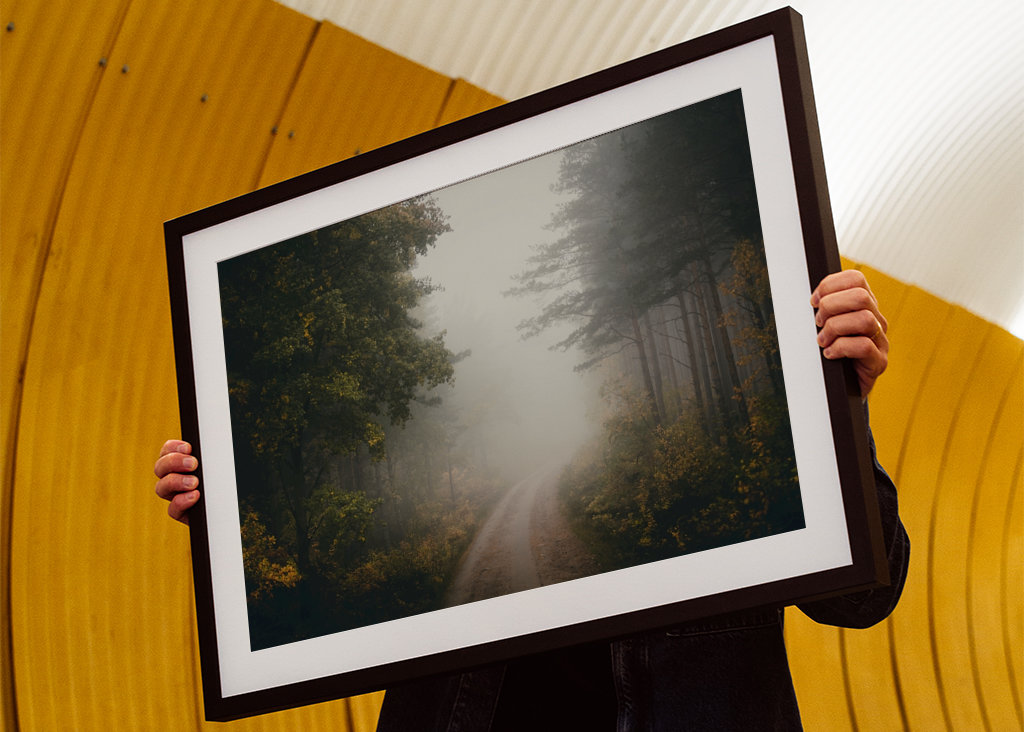 Time Standing Still Vol.5