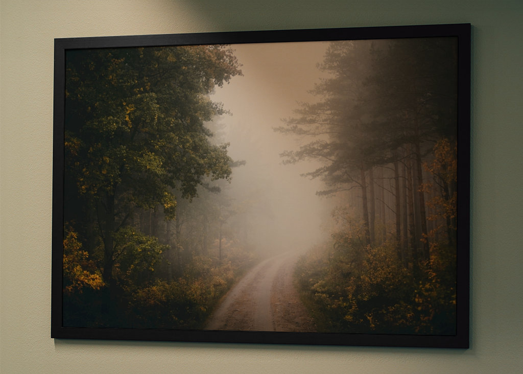 Time Standing Still Vol.5