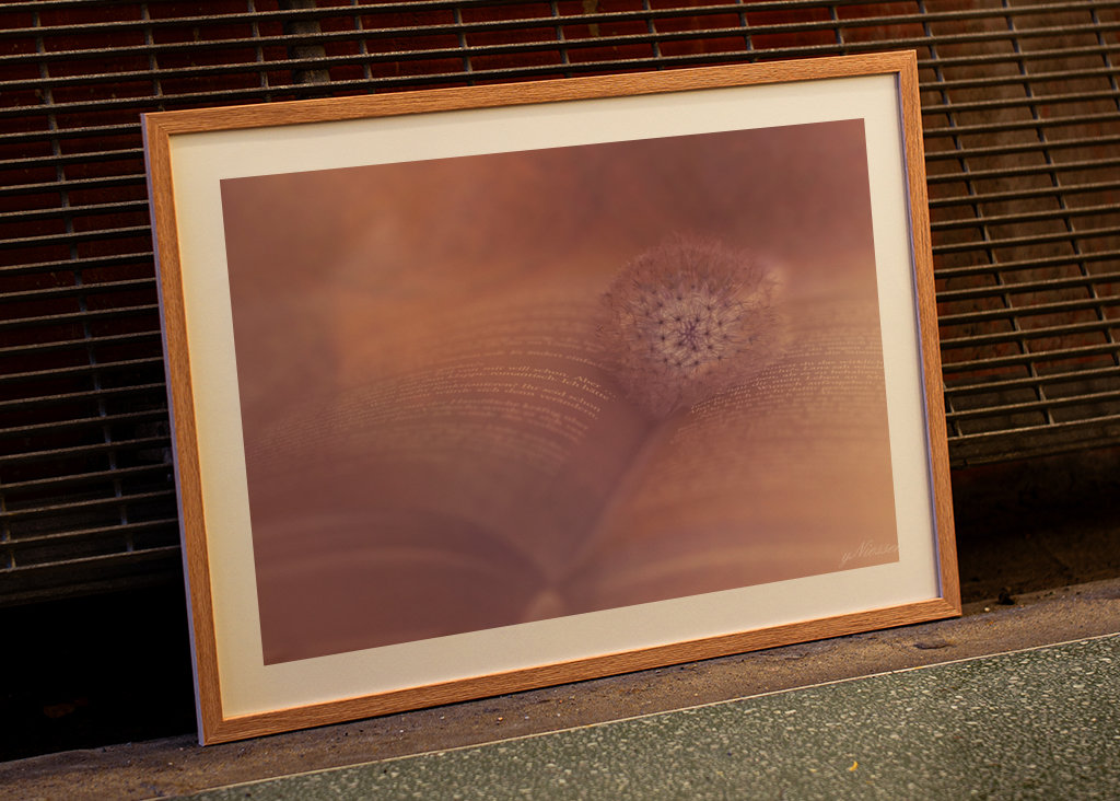 Mælkebøtte senge i bogen