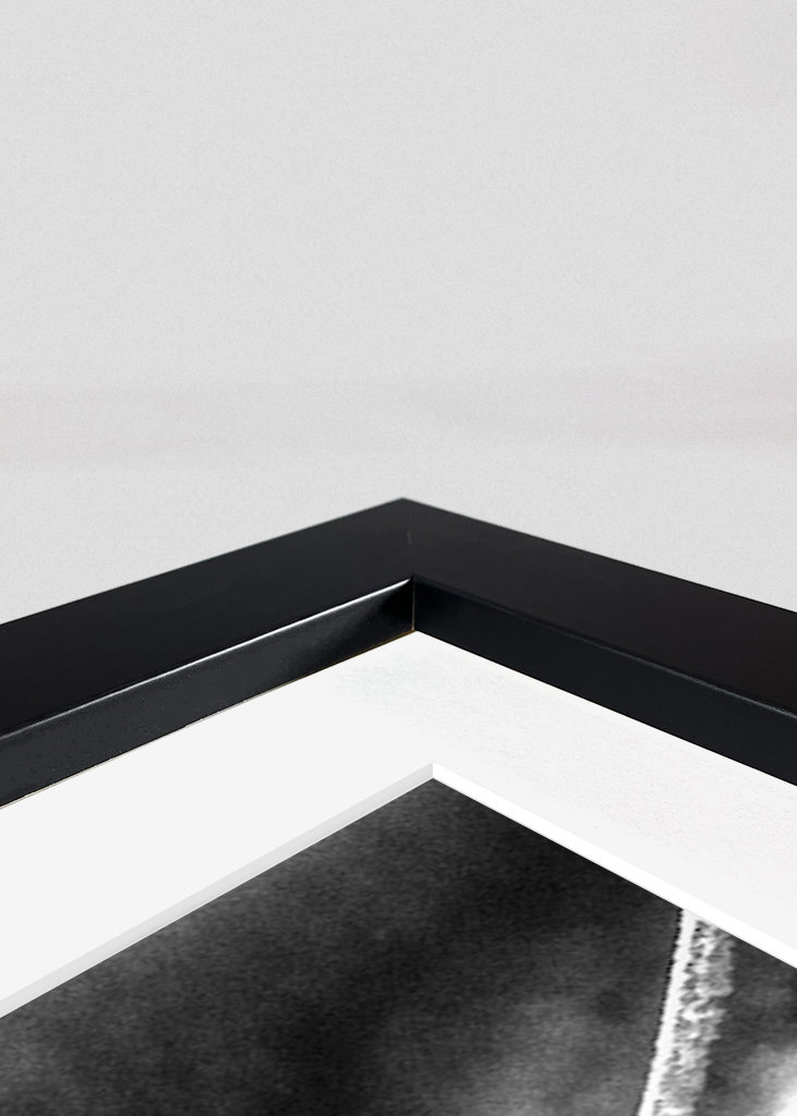 Rooftop view in Rome