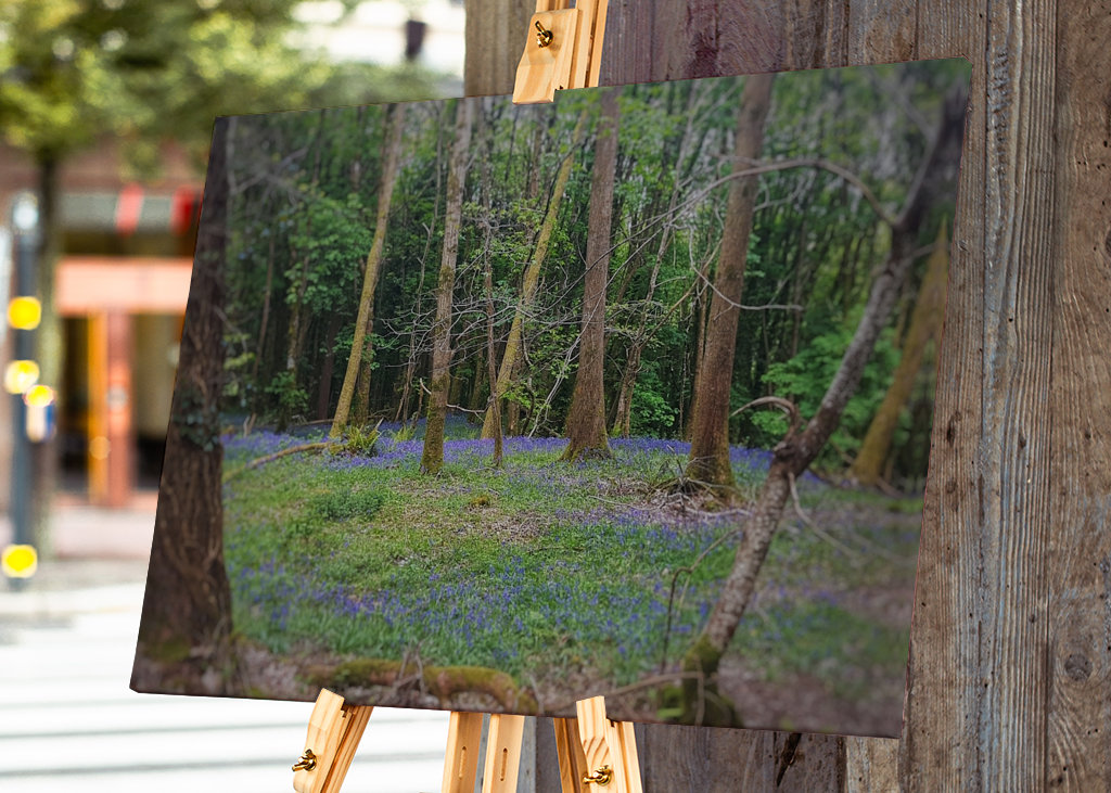 If You Go Down To The Woods ..