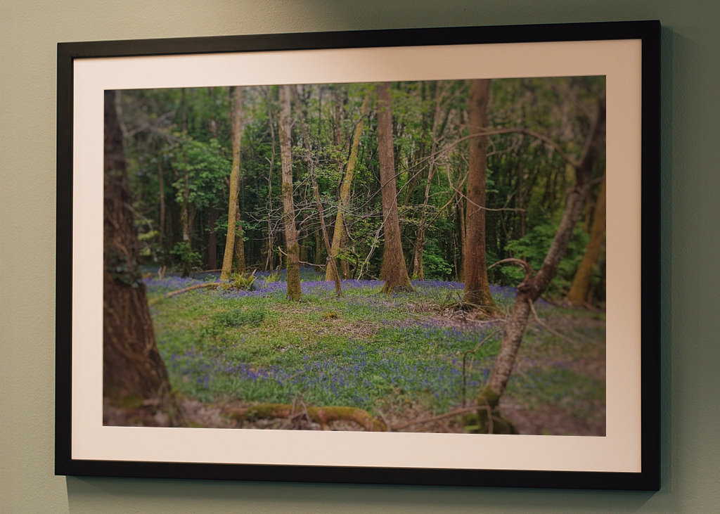 If You Go Down To The Woods ..