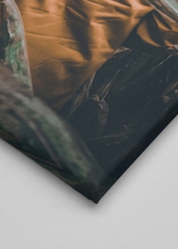 Na dobrodružstvích