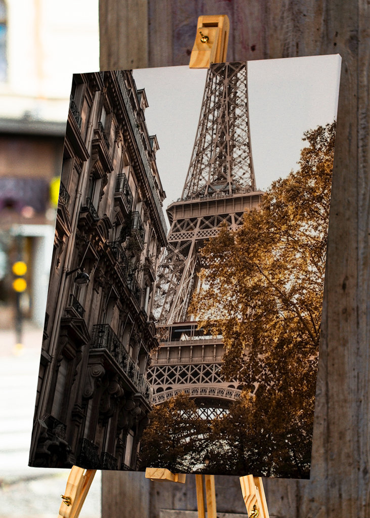 Autumn in Paris