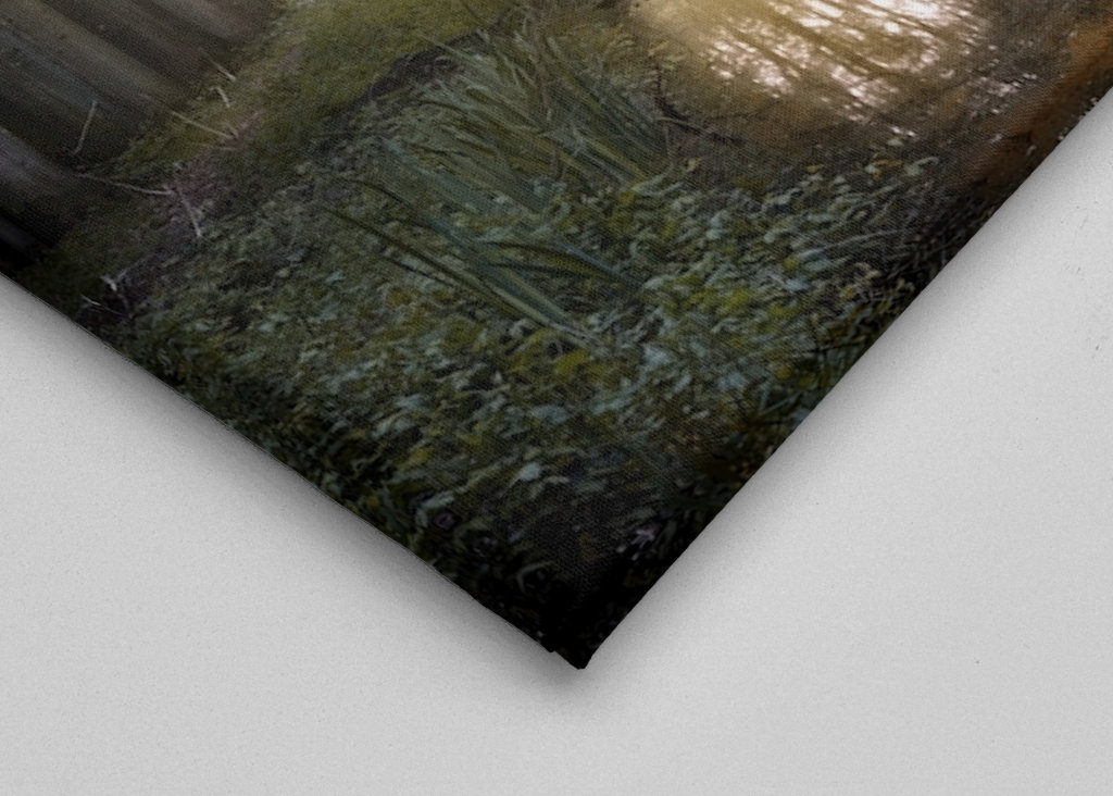 Leben in einer anderen Welt