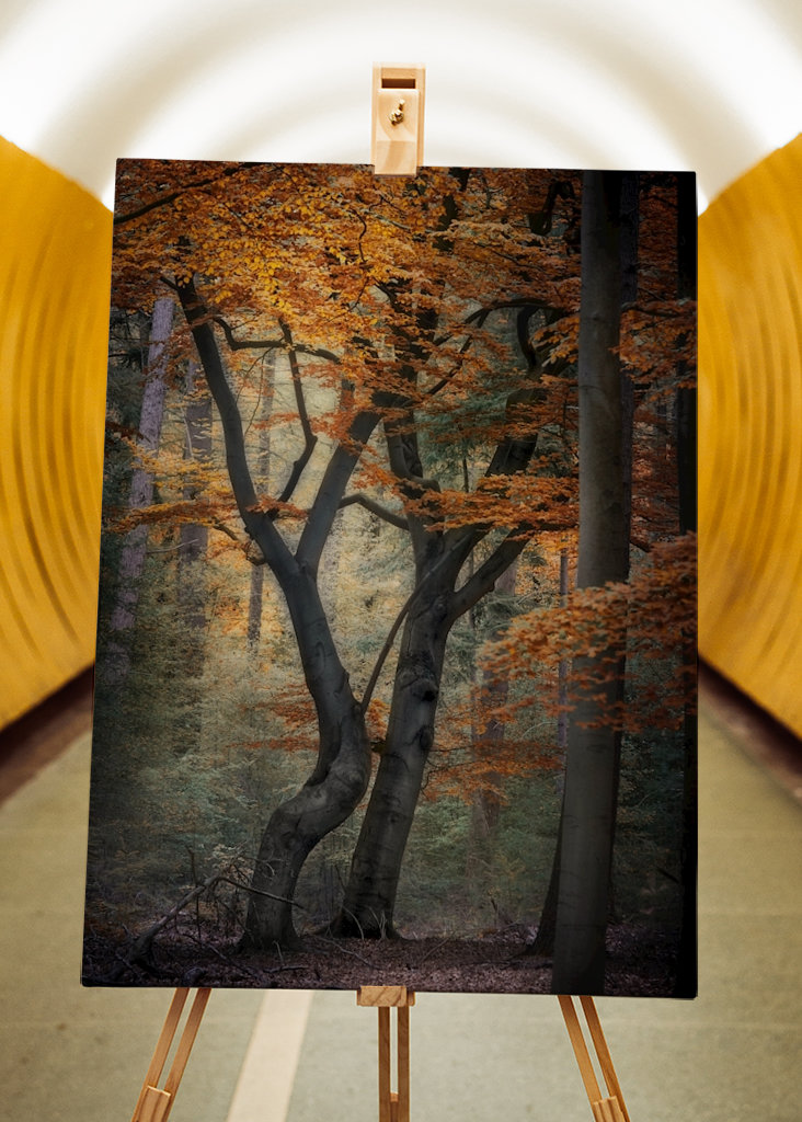 Danser jusqu’à l’aube