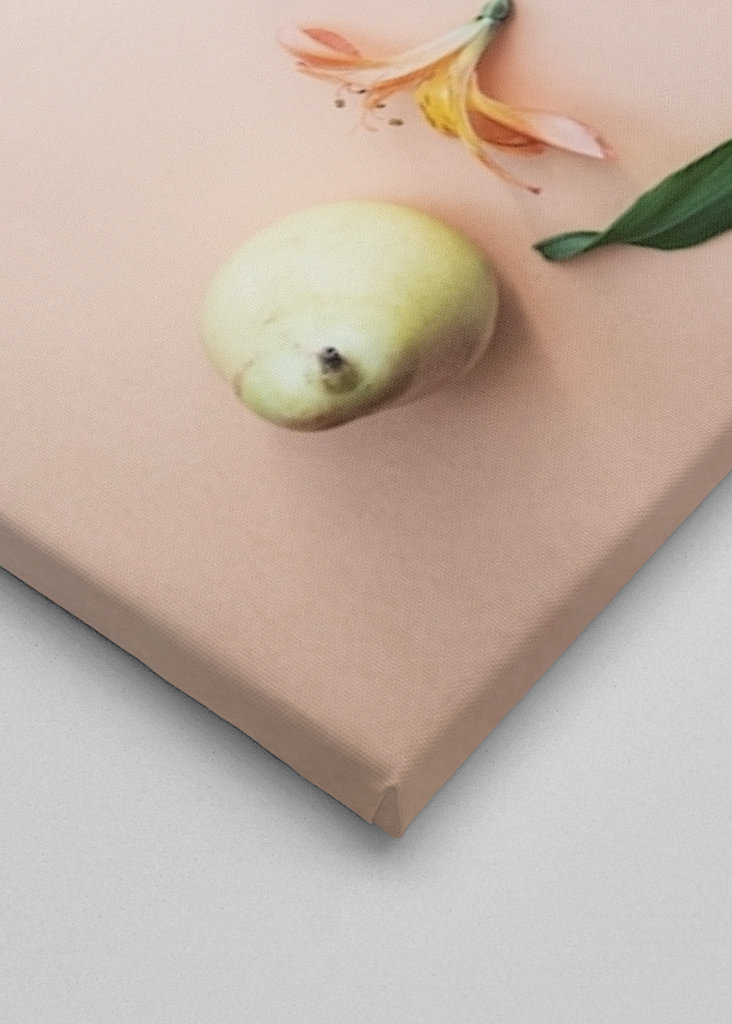 Coffee is a fruit -32