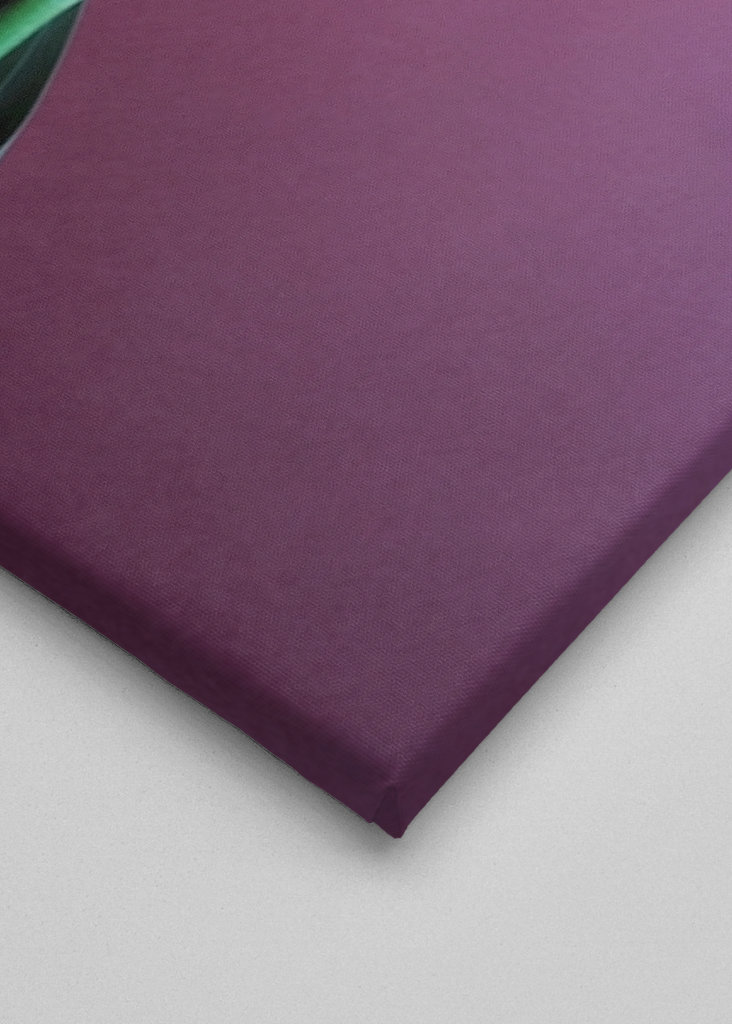 Coffee is a fruit -7