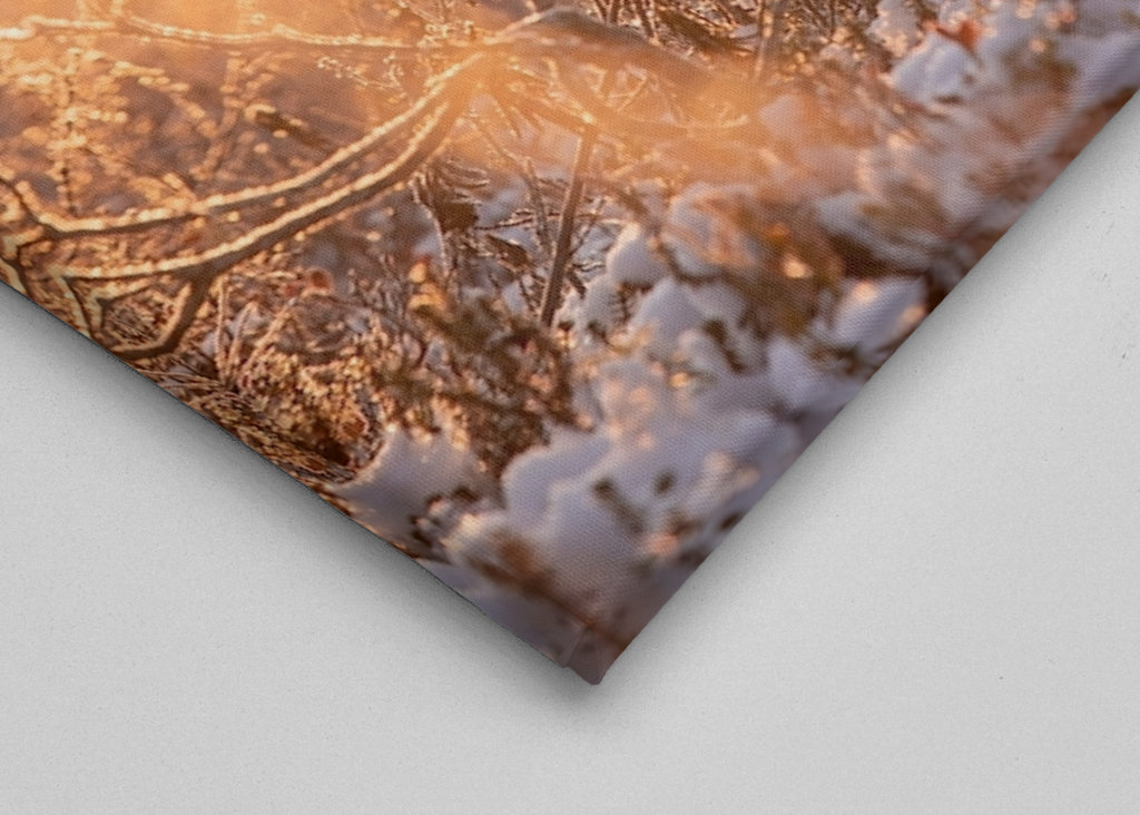 Pierwszy śnieg w roku