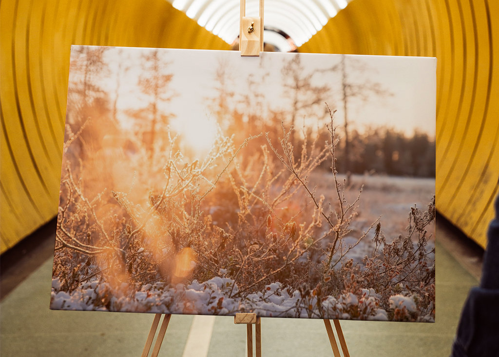 Pierwszy śnieg w roku