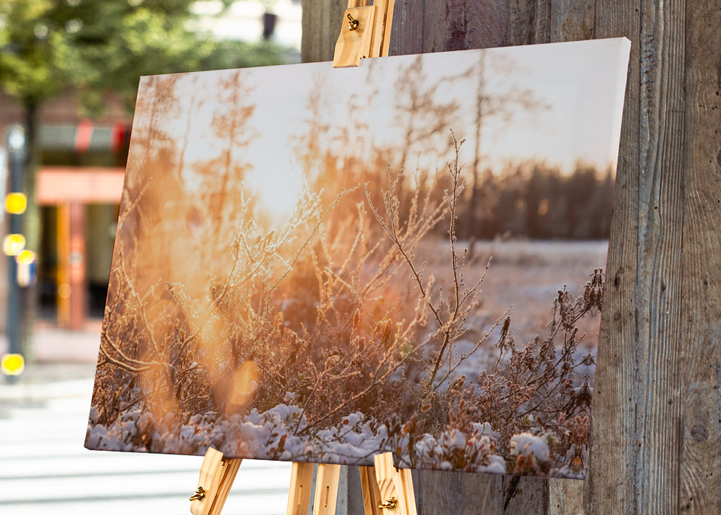 Pierwszy śnieg w roku