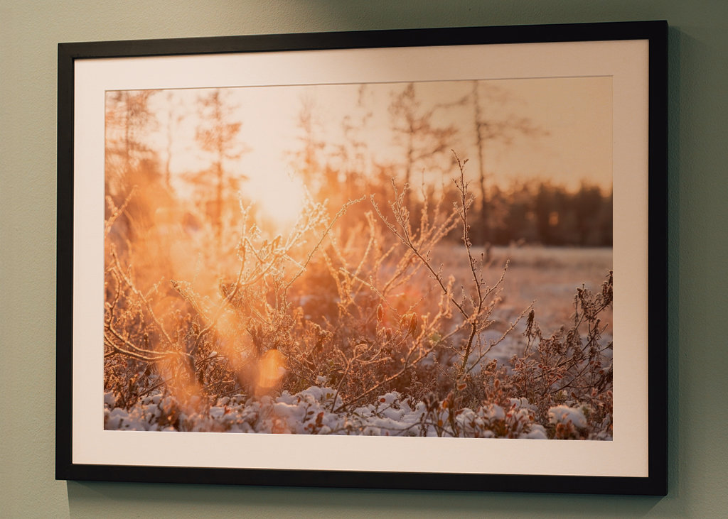 Pierwszy śnieg w roku