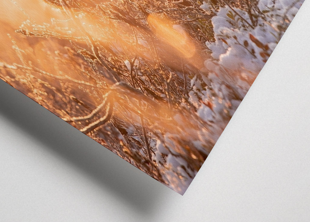 Pierwszy śnieg w roku