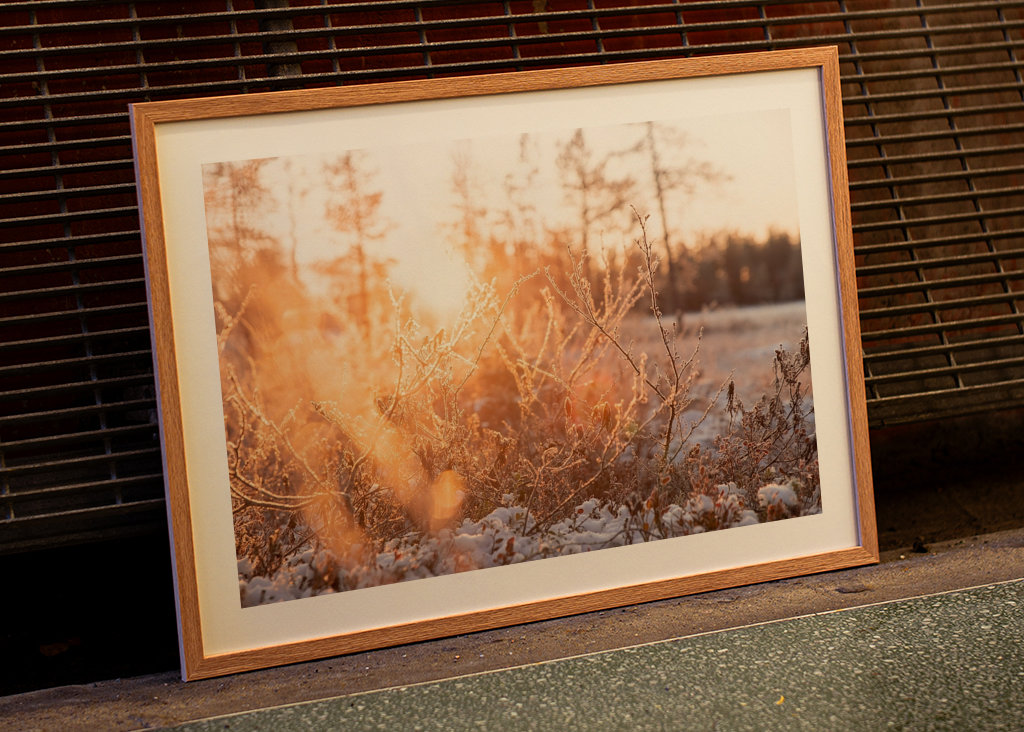 Pierwszy śnieg w roku