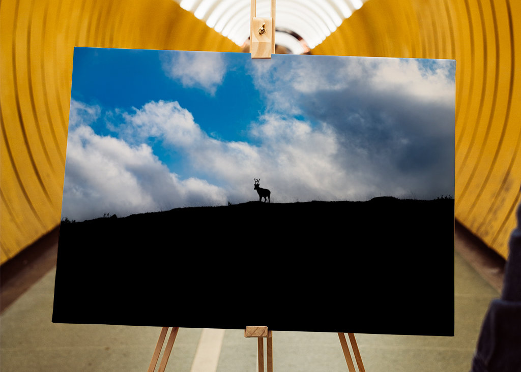 Silhouette de renne dans les montagnes