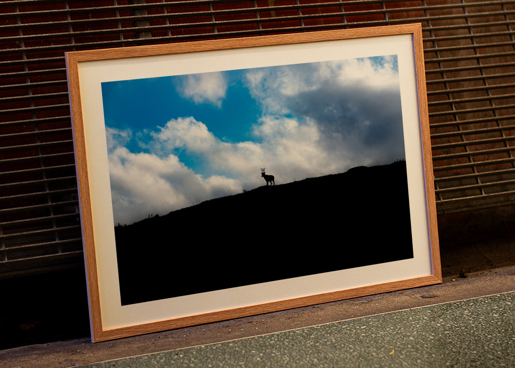 Silhouette de renne dans les montagnes
