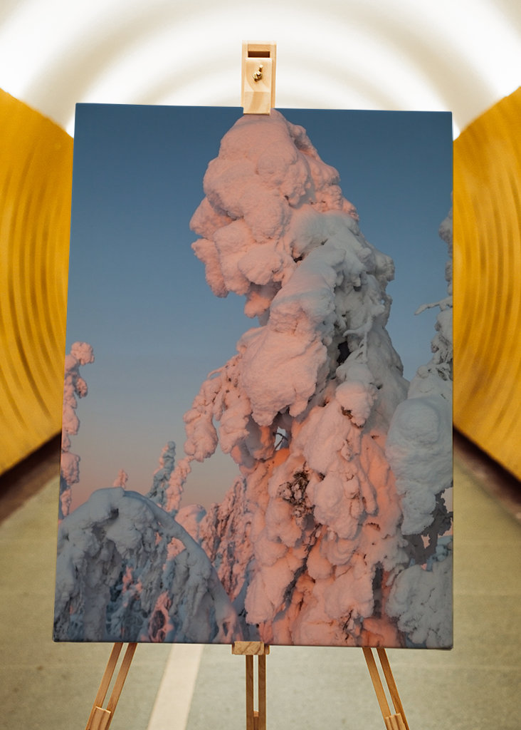 Natuurlijke Sneeuwman 2