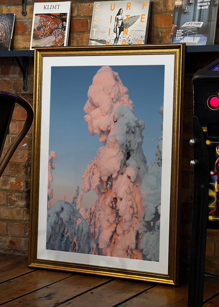 Natuurlijke Sneeuwman 2