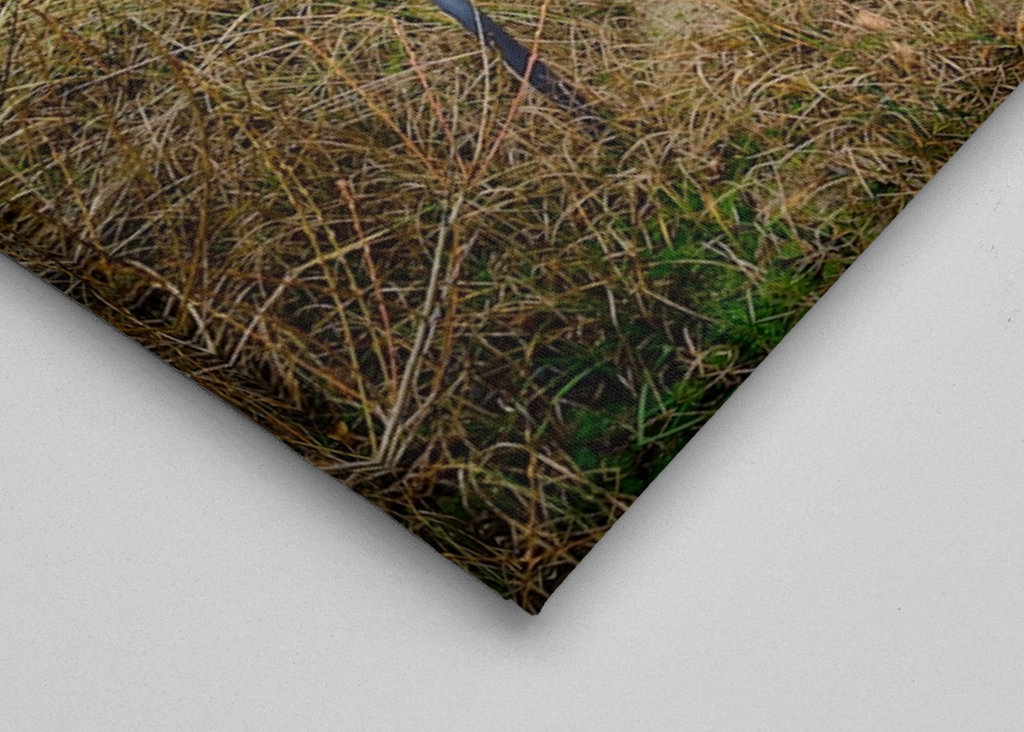 Egy szék a tenger mellett