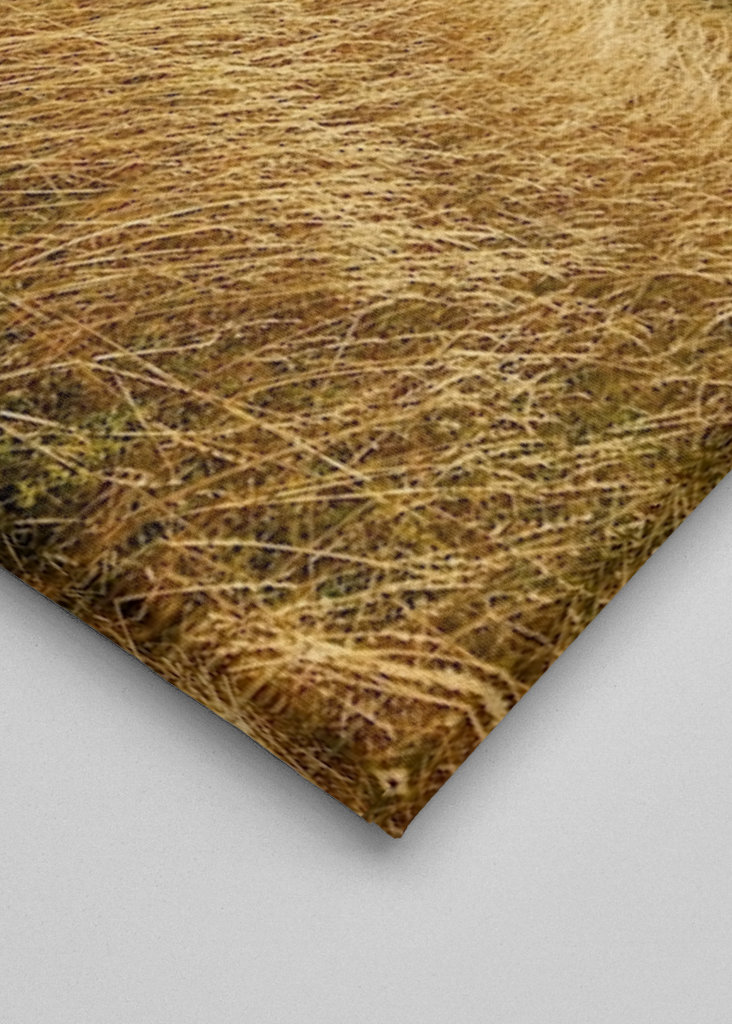 Phare de Närsholmen