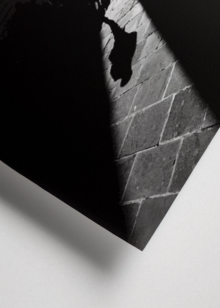 Stříbrná podšívka