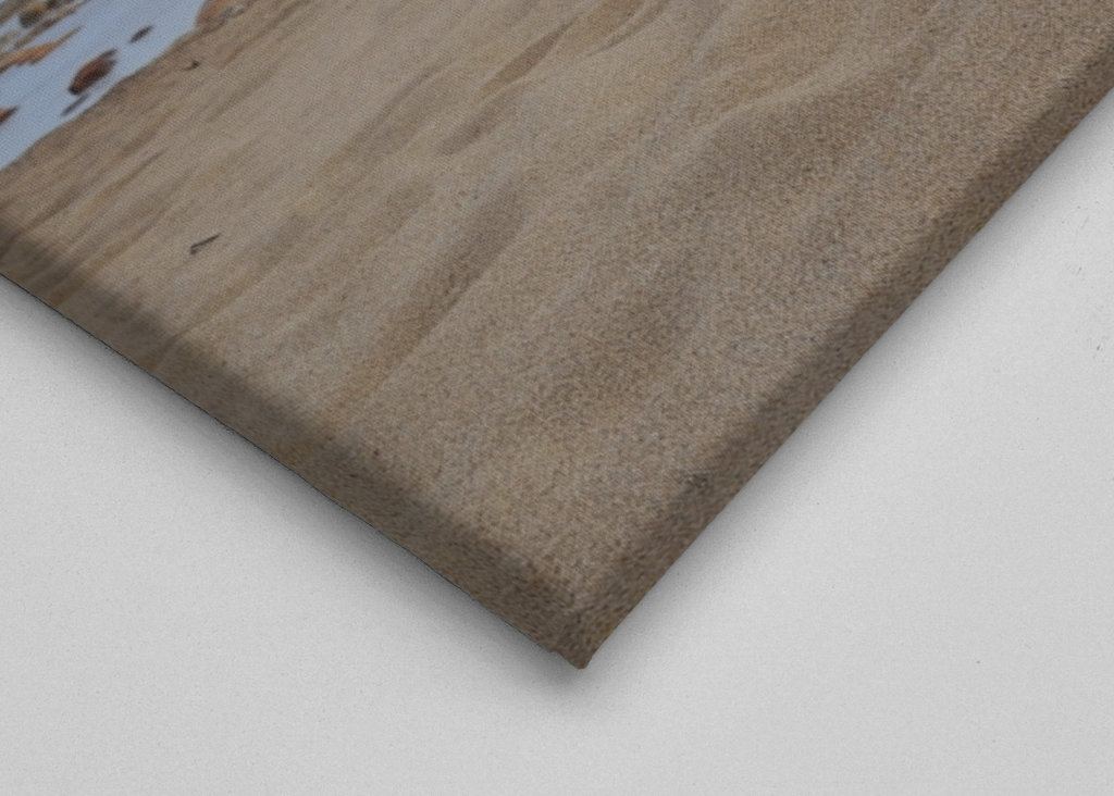 Letni dzień nad morzem