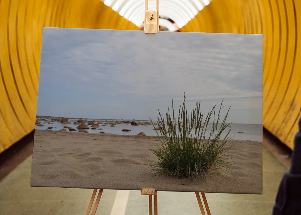 Letni dzień nad morzem