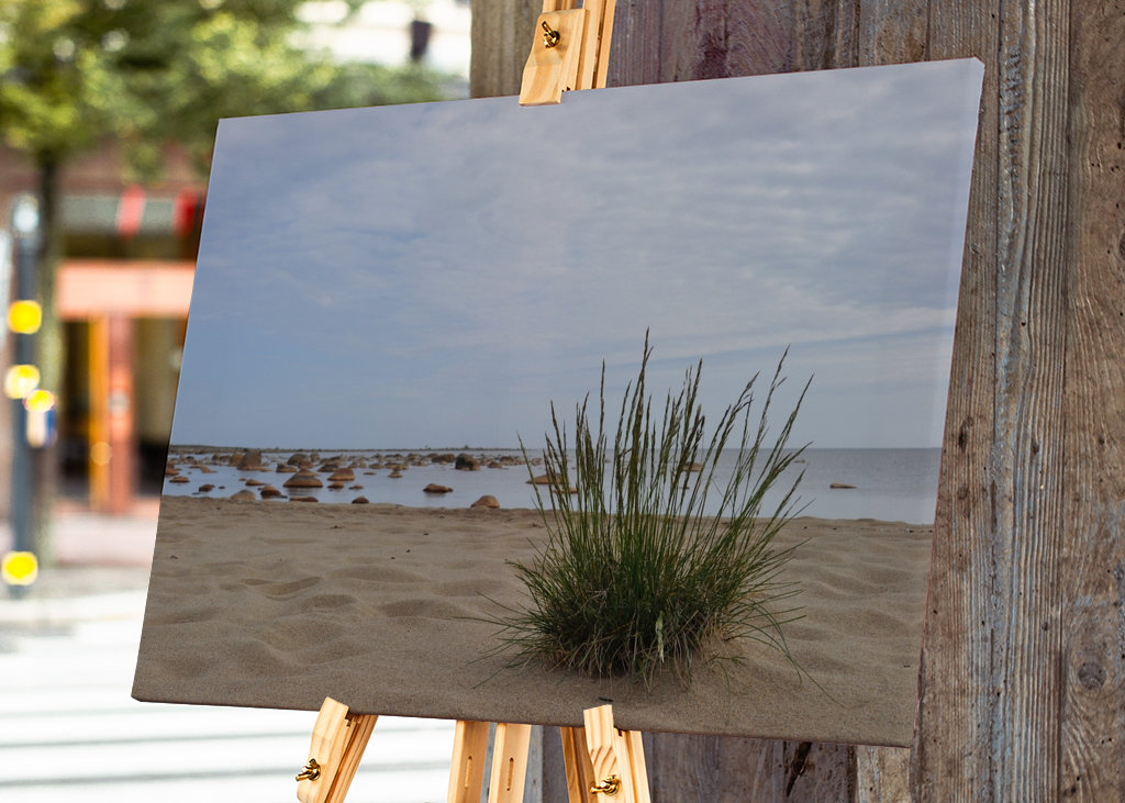 Letni dzień nad morzem