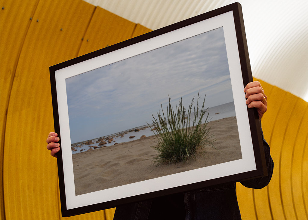 Letni dzień nad morzem