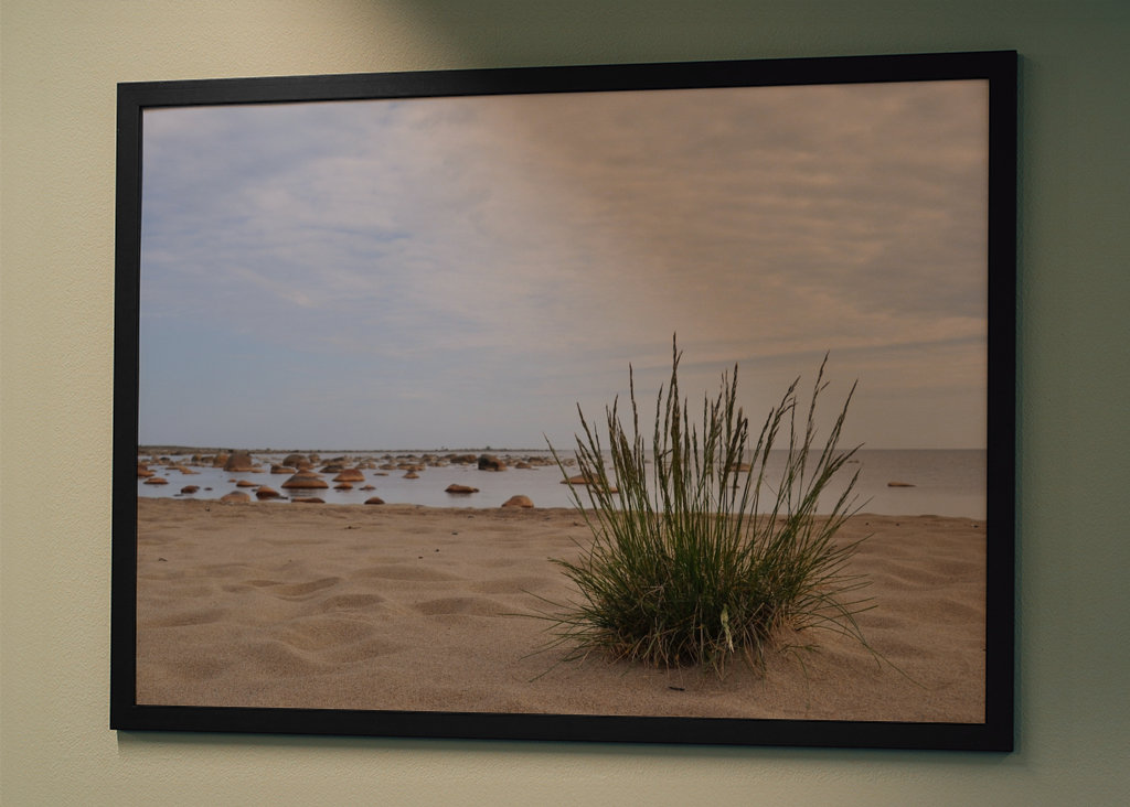 Letni dzień nad morzem