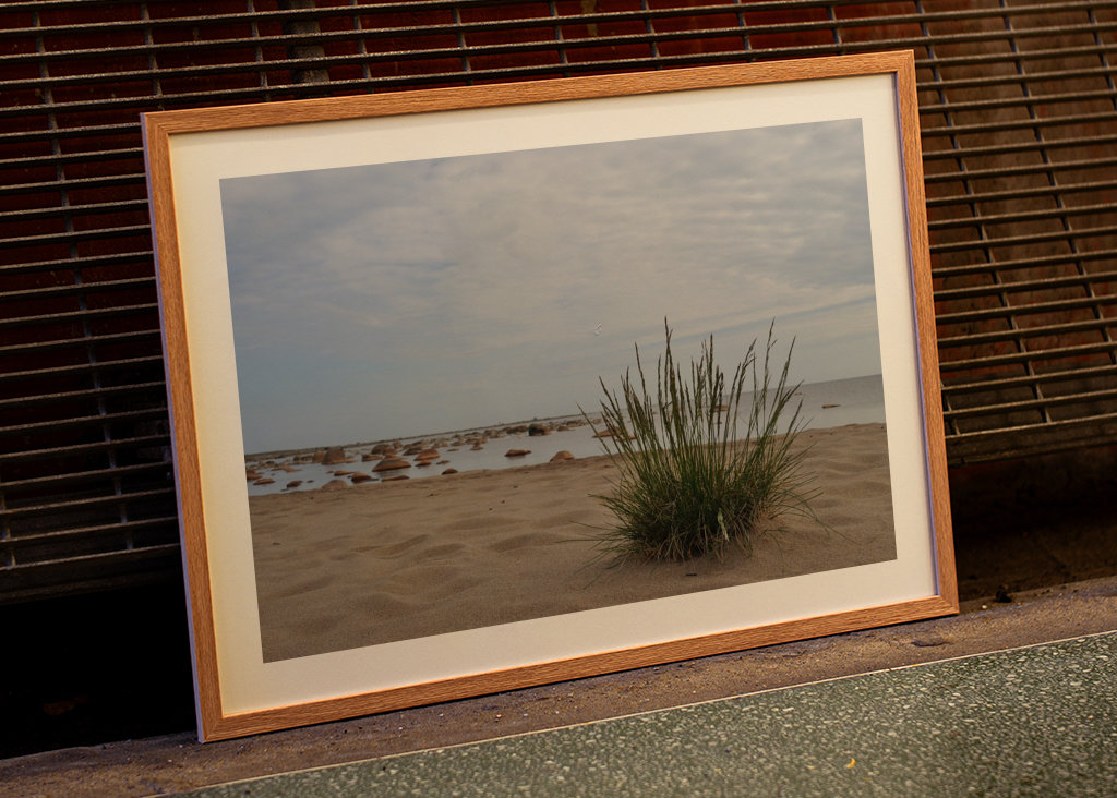 Letni dzień nad morzem